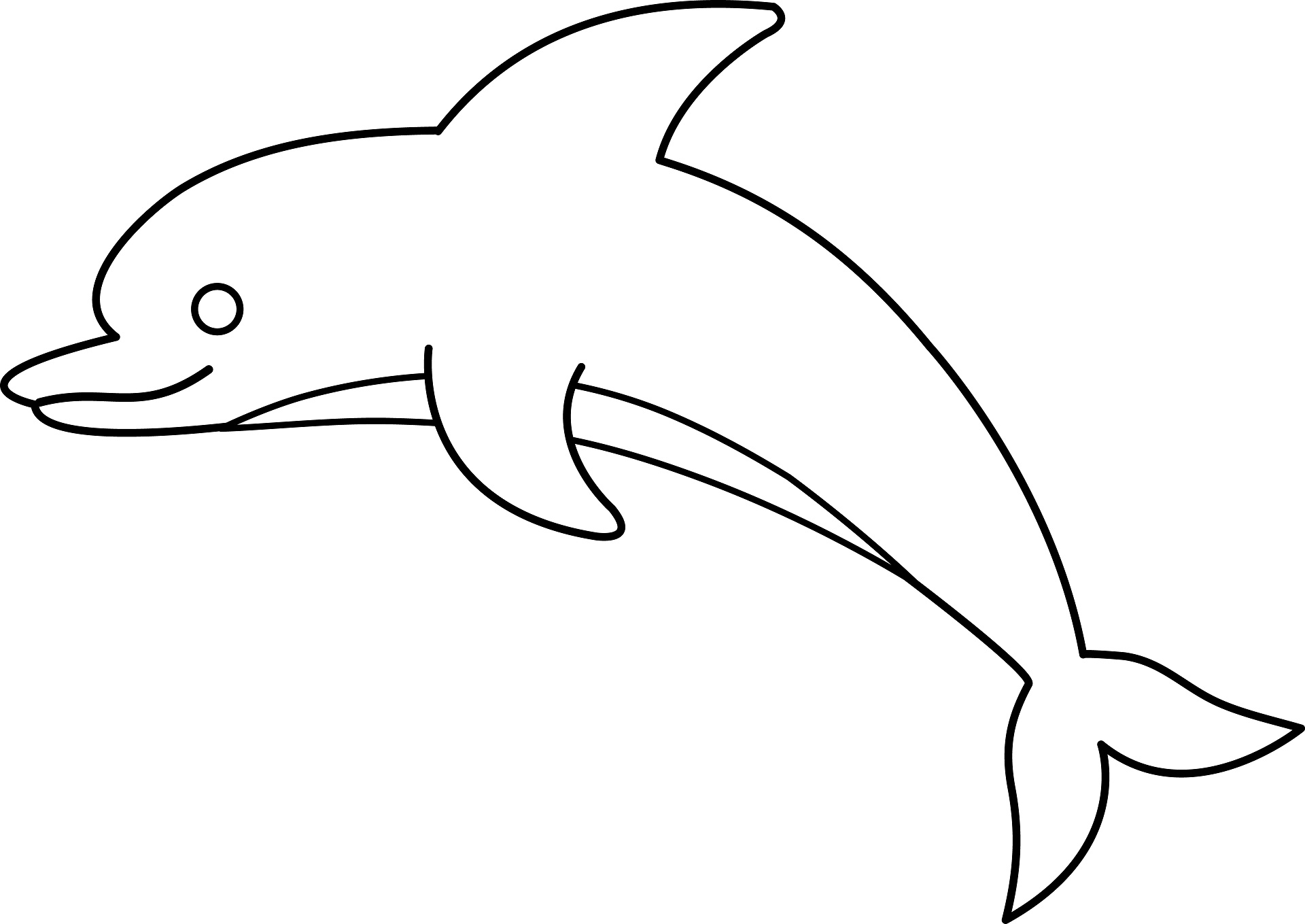 cute dolphin clipart black and white