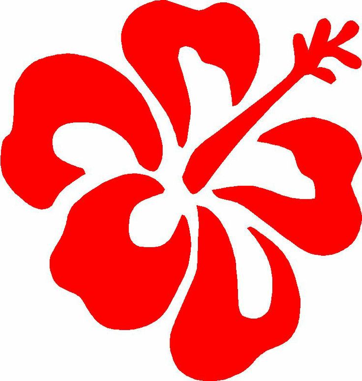 Free Hawaiian Flower Cartoon, Download Free Hawaiian Flower Cartoon png