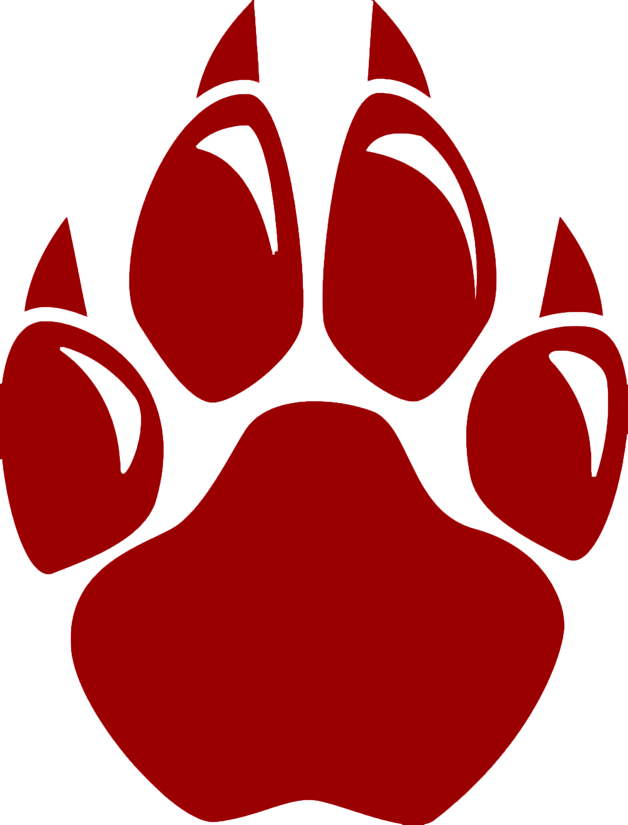 wildcat paw print logo