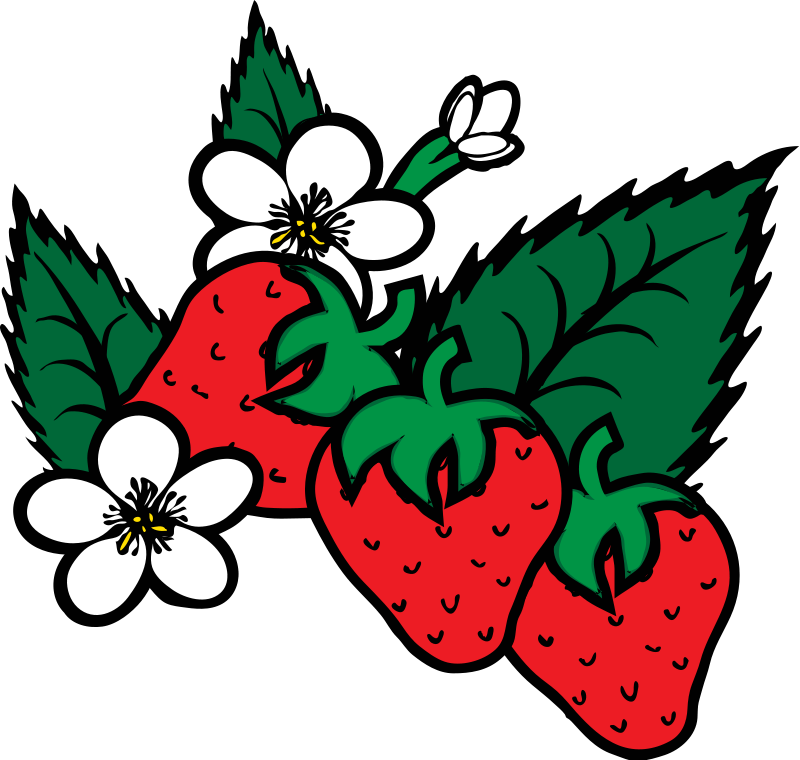 Free Pictures Of Cartoon Strawberries, Download Free Pictures Of Cartoon  Strawberries png images, Free ClipArts on Clipart Library