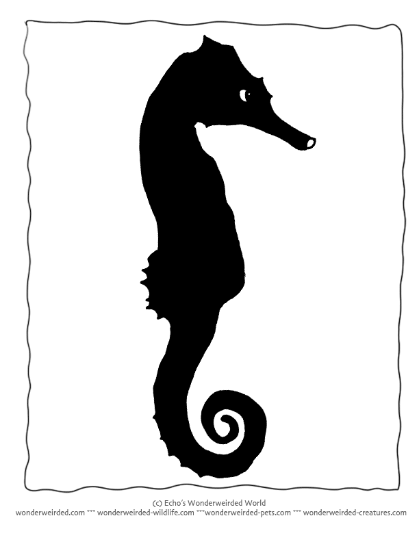 Seahorse Silhouette, Silhouettes Templates for Ocean Themed 