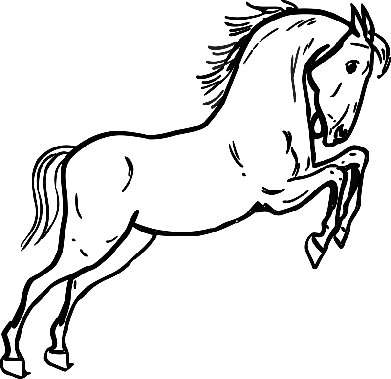 Jumping Horse Outline Clip Art Download