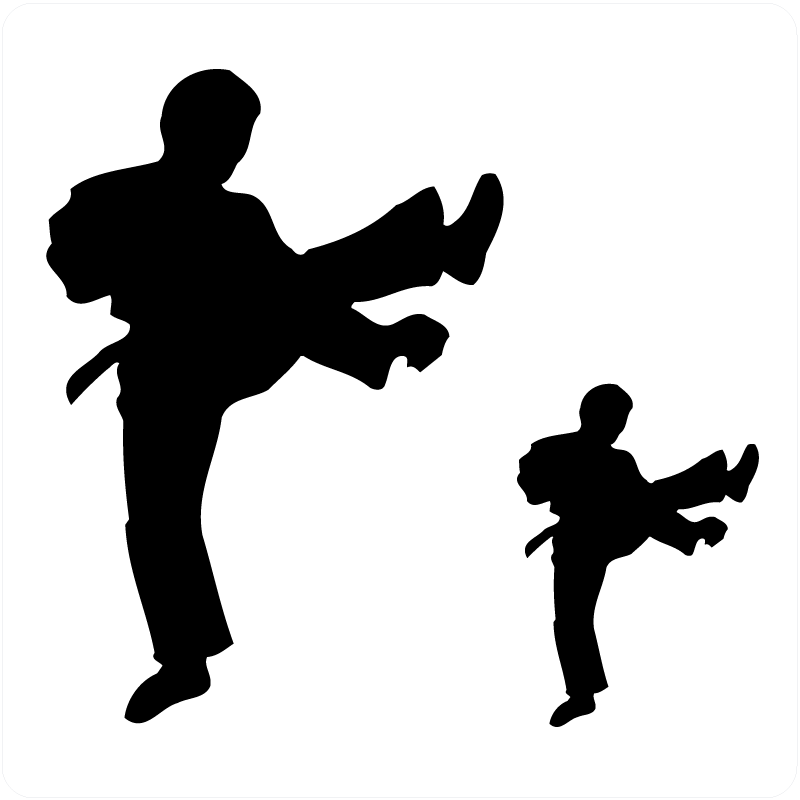 Karate Kid Wall Sticker to Use in Karate / Judy Enthusiasts Area