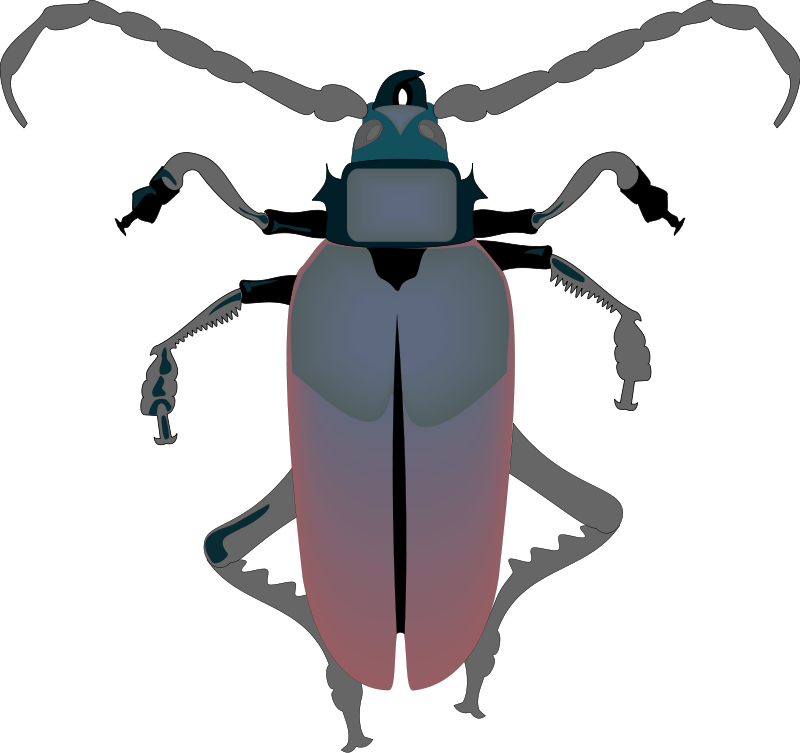 Insect 29 Free Vector 