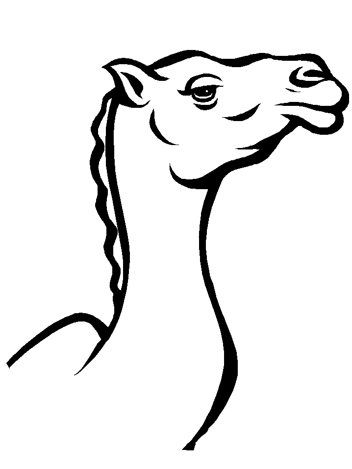camels to draw Colouring Pages (page 3)