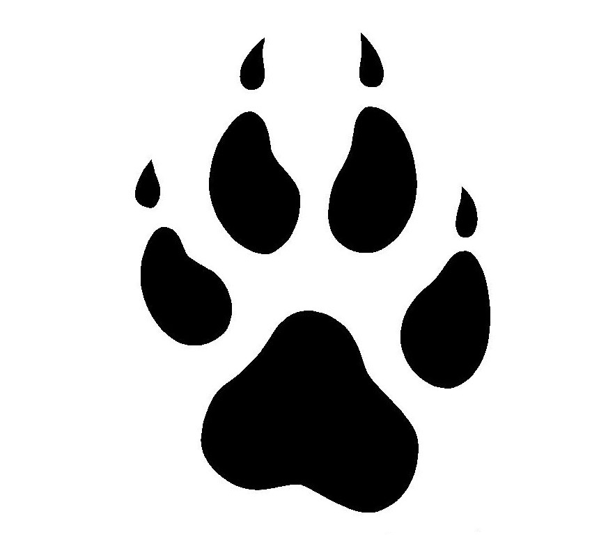 Furtastic | 3 Canine Paw Print Decal | Online Store Powered by 