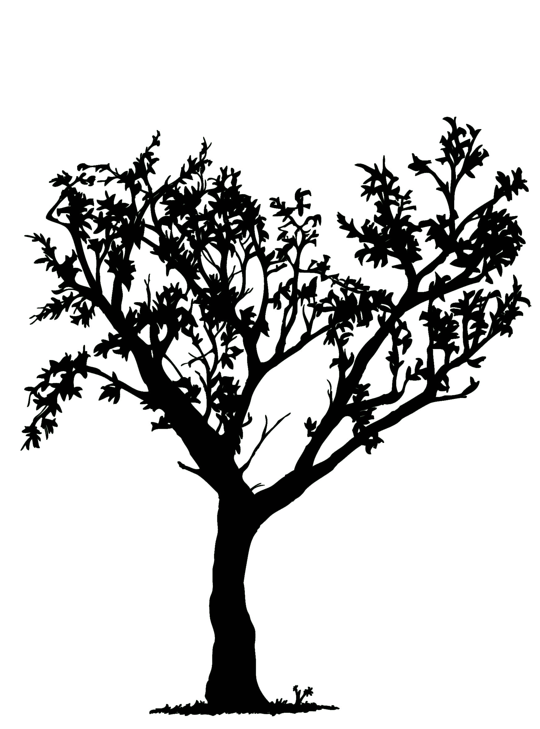 tree clip art free black and white - photo #31