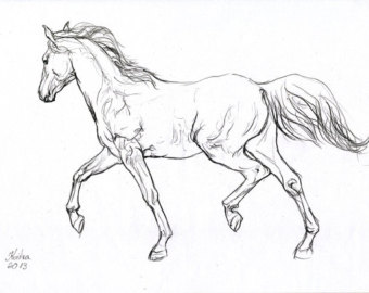 sketch running horse drawing - Clip Art Library