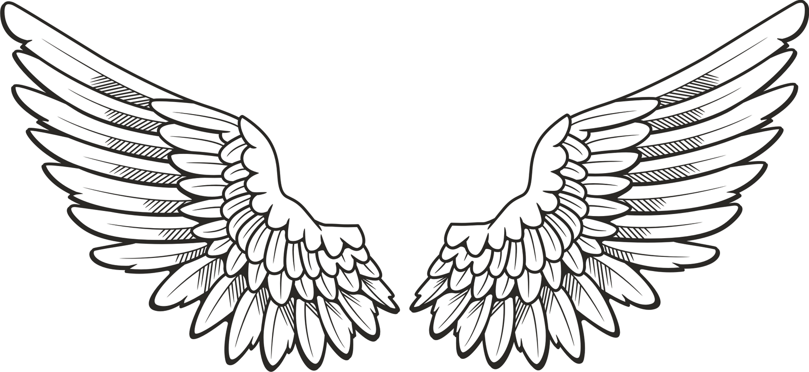 Free Bird Wing Png Download Free Clip Art Free Clip Art On Clipart Library,Cooking Ribs On Gas Grill With Wood Chips