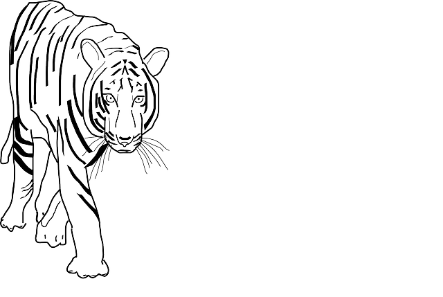 ANIMALS, PARK, BLACK, AFRICA, OUTLINE, DRAWING - Public Domain 