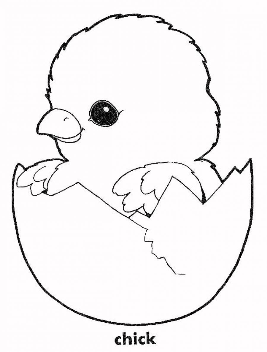 chick in egg coloring pages