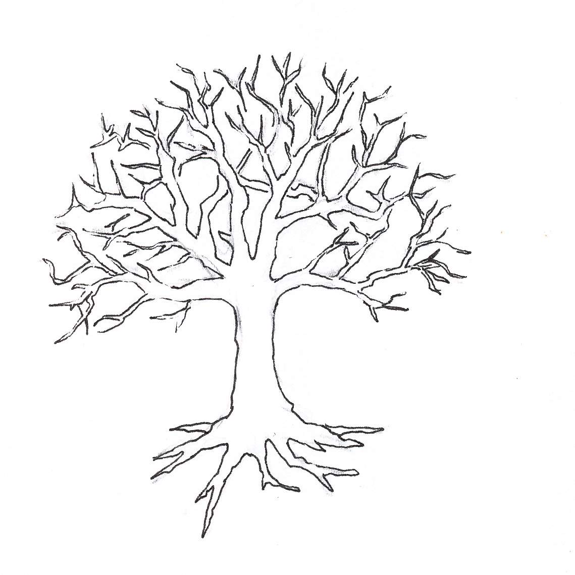 Free Leafless Tree Outline Printable, Download Free Leafless Tree