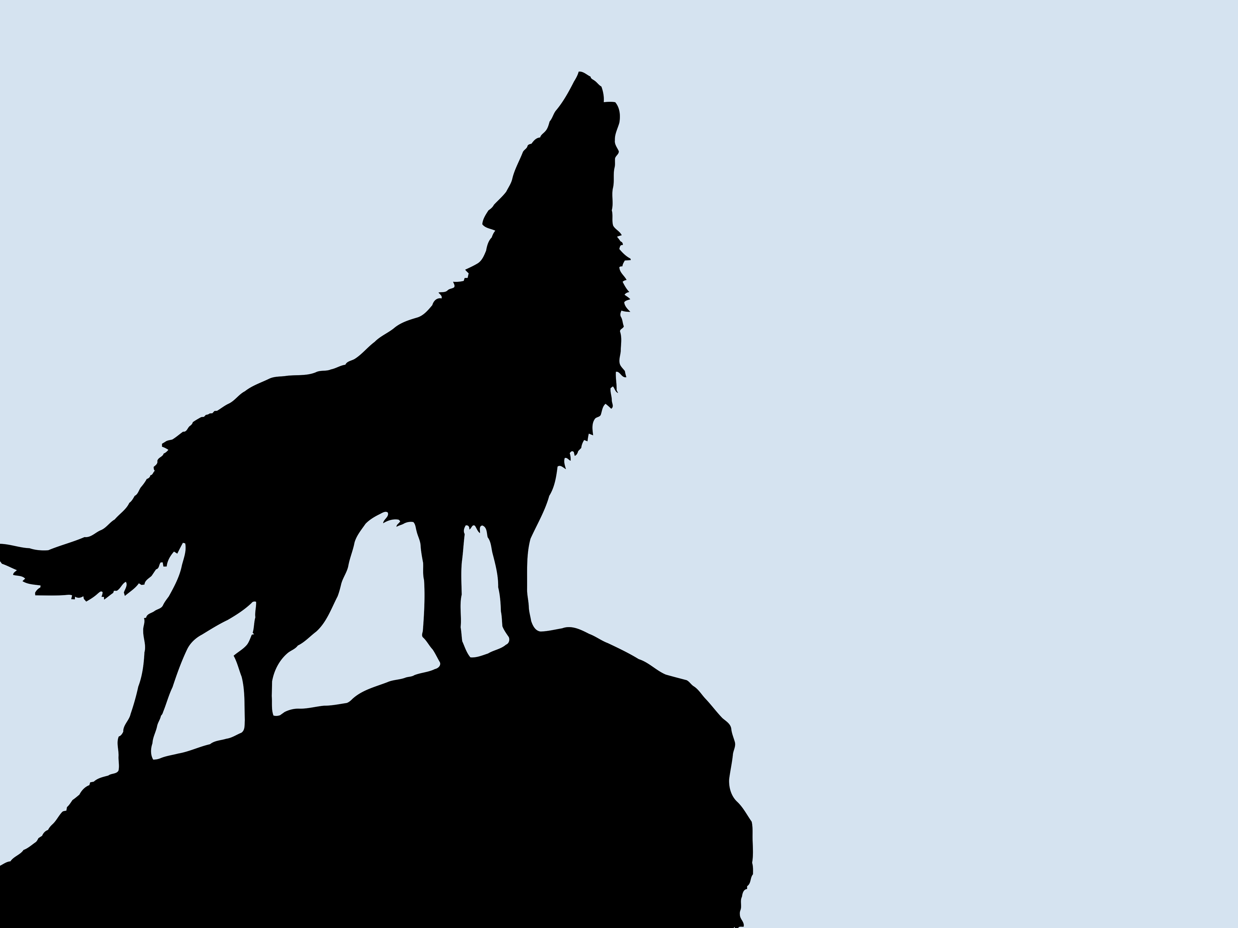wolf vectorized silhouette art high resolution HD Wallpaper - Art 