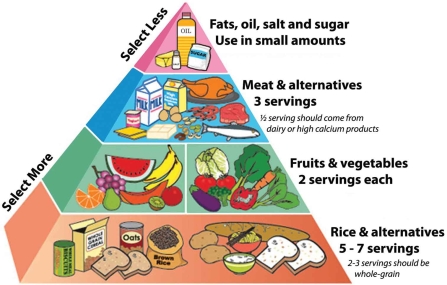 Well Balanced Diet Chart