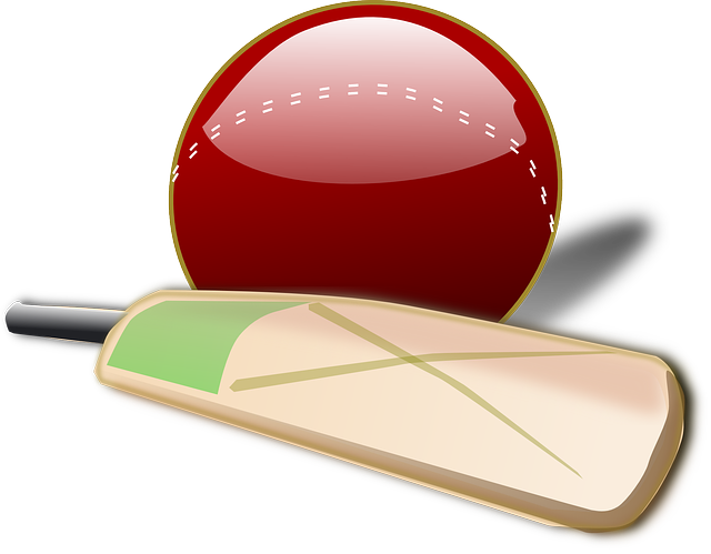 Free Cartoon Cricket Bat, Download Free Cartoon Cricket Bat png images,  Free ClipArts on Clipart Library