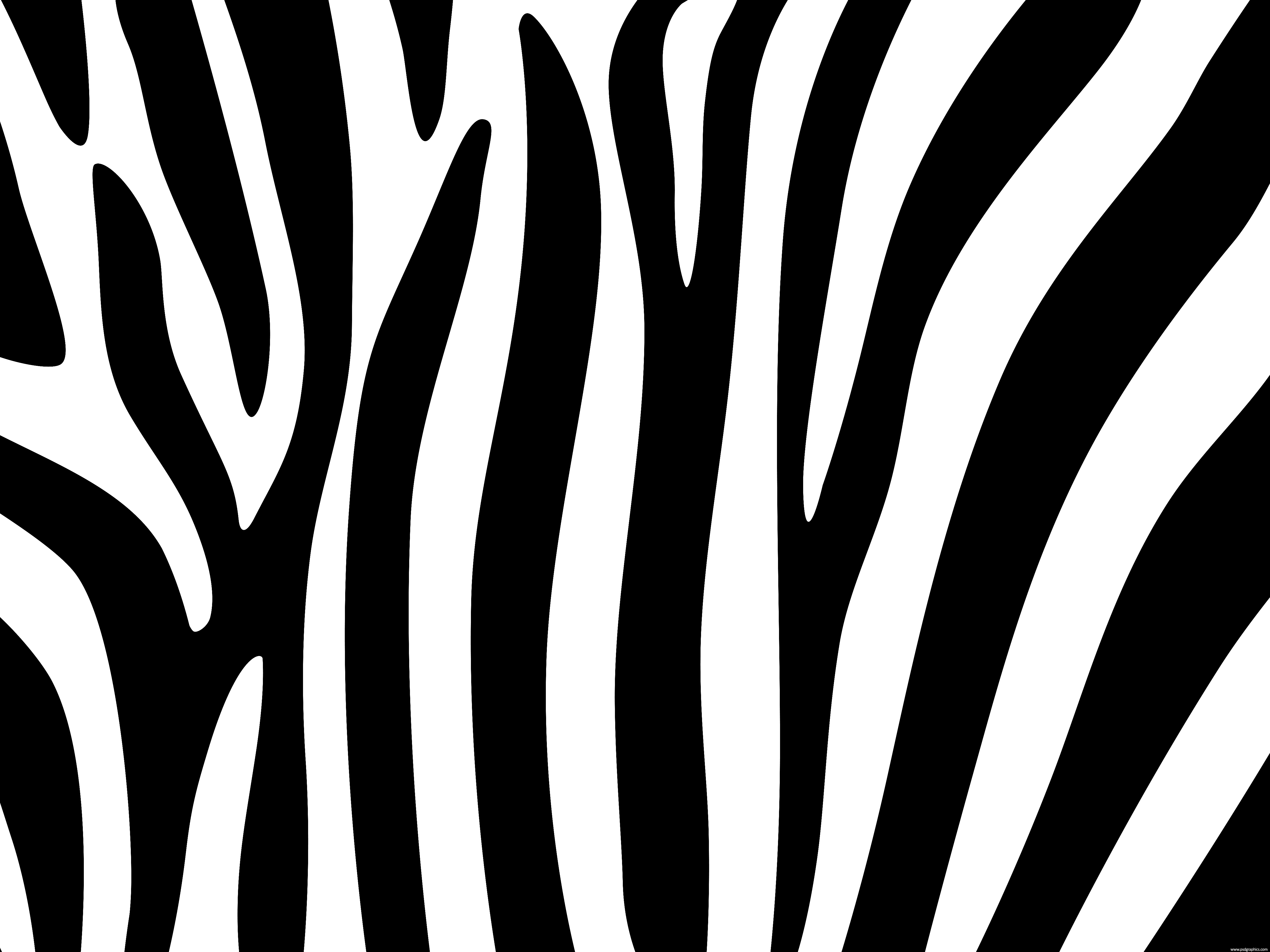 Page 2 For Query Zebra Background Pattern | picturespider.com