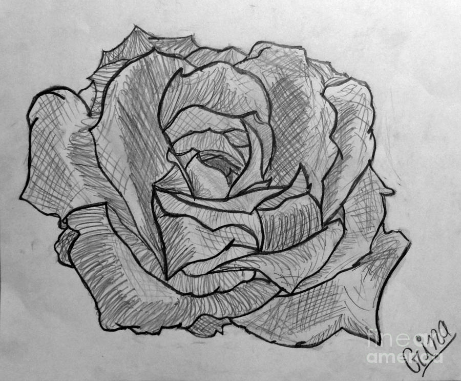 Black Rose by Djurdjina Jovanovic