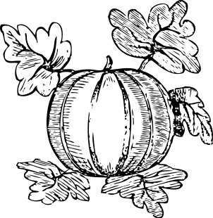 Pumpkin Line Drawing Clip Art Images  Pictures - Becuo