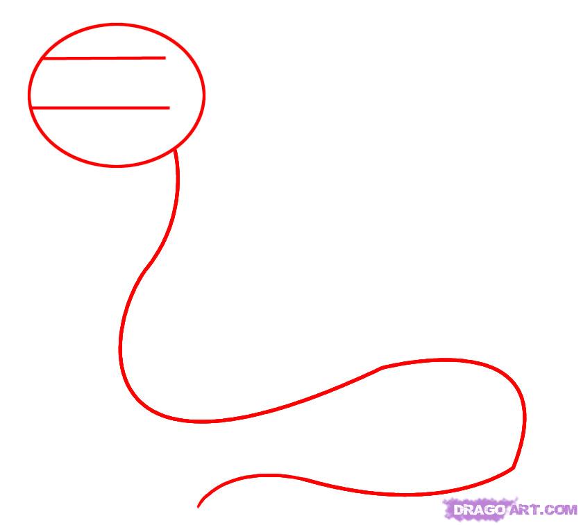 How to Draw a Cartoon Snake, Step by Step, Cartoon Animals 