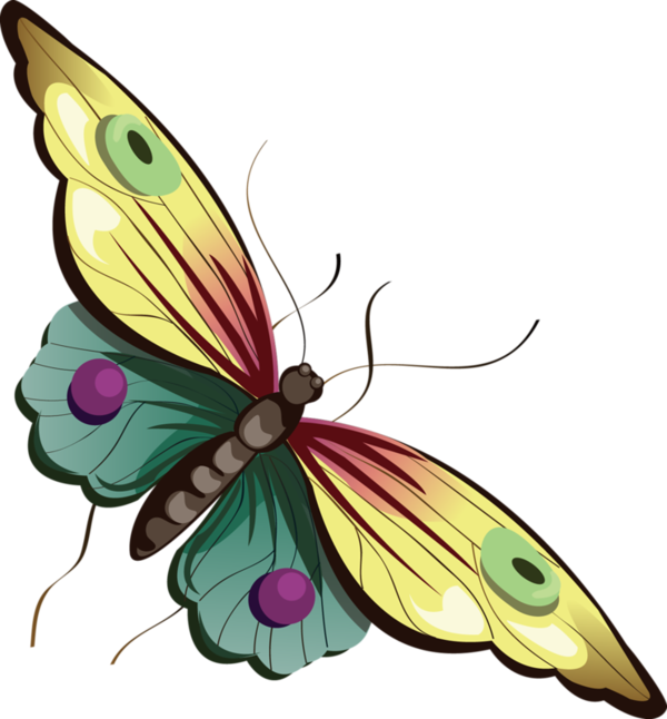 IMAGES OF Cartoon Butterflies - Clipart library