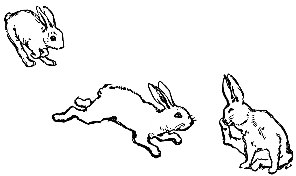 Rabbits | ClipArt ETC