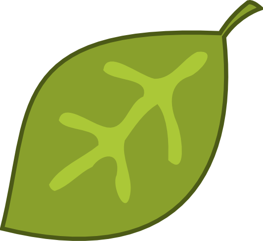 En Leaf Flower SVG Scalable Vector Graphics xochi.info Art Clip 