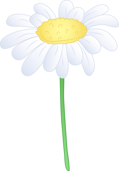 Single White Daisy Flower - Free Clip Art