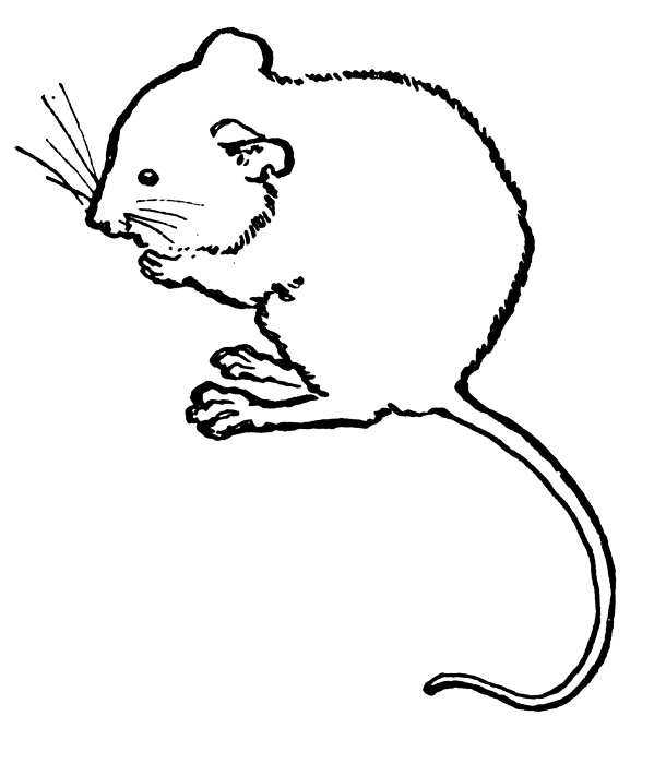 Mouse Clip Art Black And White | Clipart library - Free Clipart Images