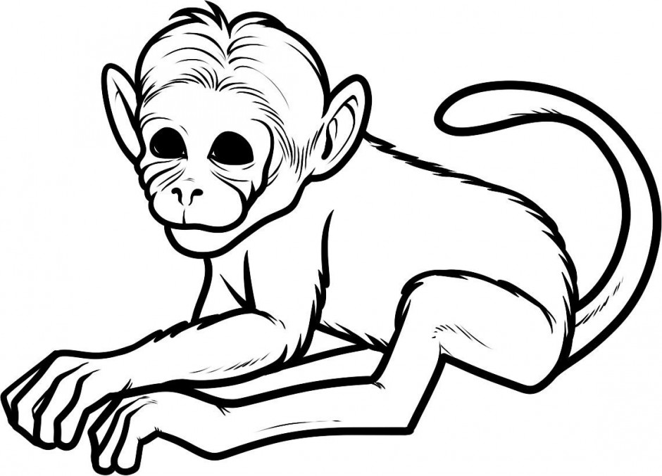 Royalty Free Vector Of Cartoon Sad Monkey Coloring Page 135530 