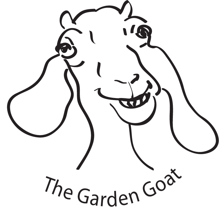 Husband | gardengoatquote | a goat