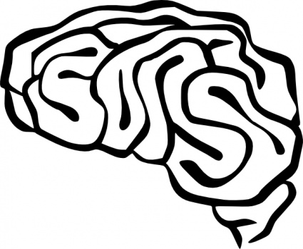 Brain clip art - Download free Human vectors