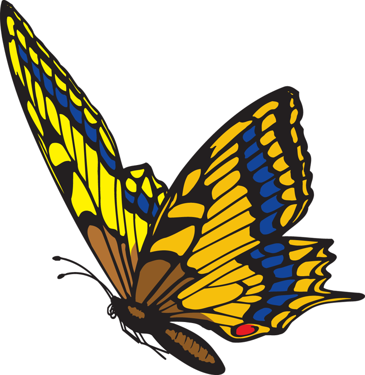 Monarch Butterfly Clipart1 Png Car Pictures