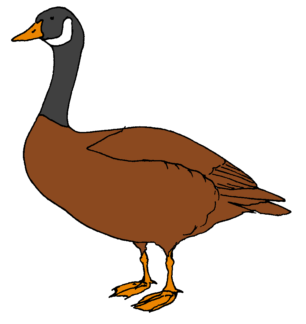 silly goose clipart - photo #32