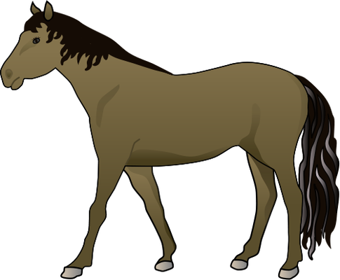 Equus ferus caballus (Horse) 1 - Mammals - Vector Illustration 