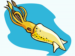 Fish graphics squid 233411 Fish Graphic Gif