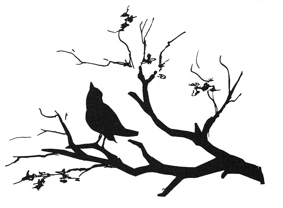 Silhouette: Bird On Branch by Granger - Silhouette: Bird On Branch 