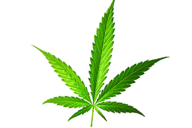 clipart cannabis leaf - photo #31
