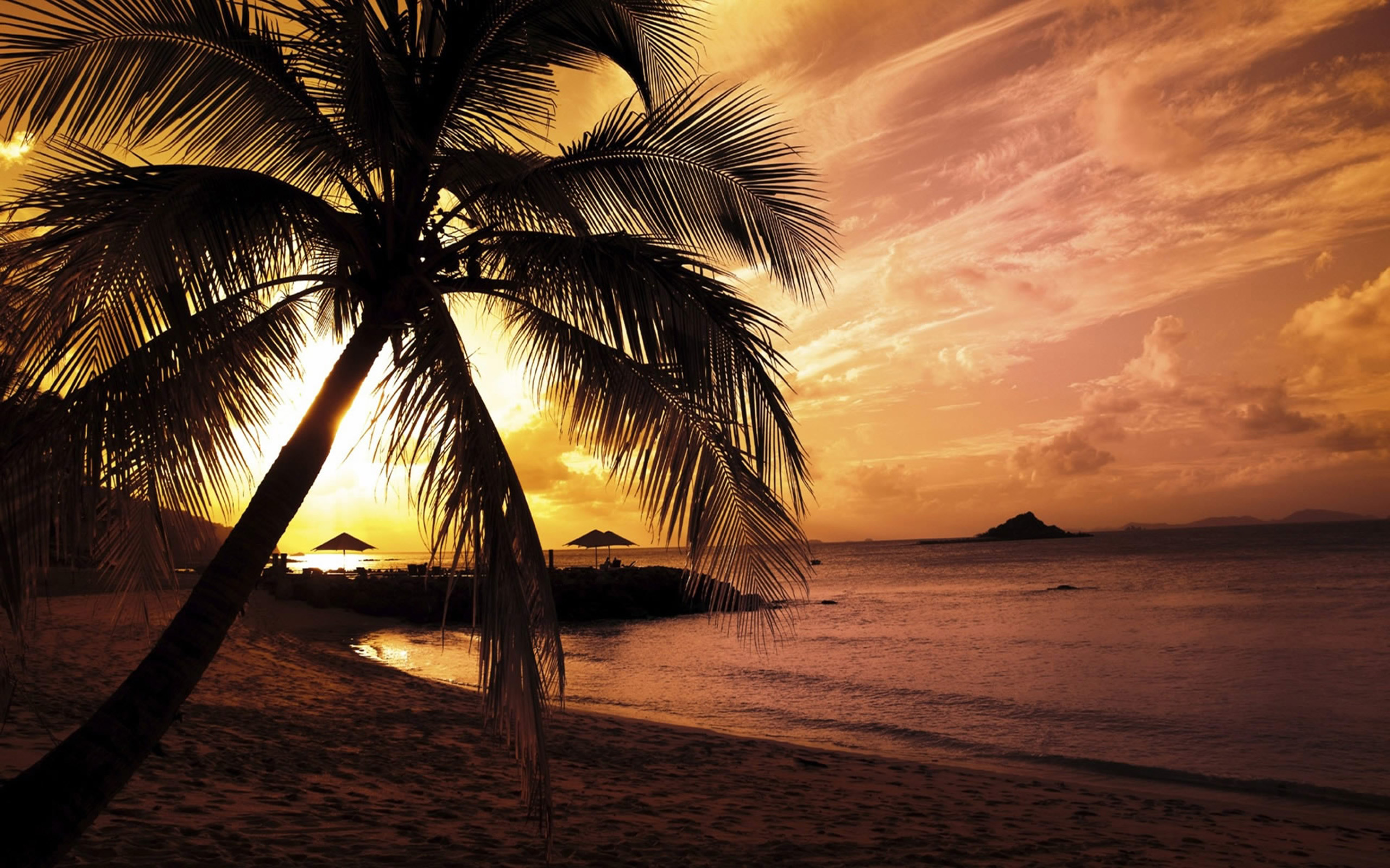 Free Beach Background Download Free Clip Art Free Clip Art On Clipart Library