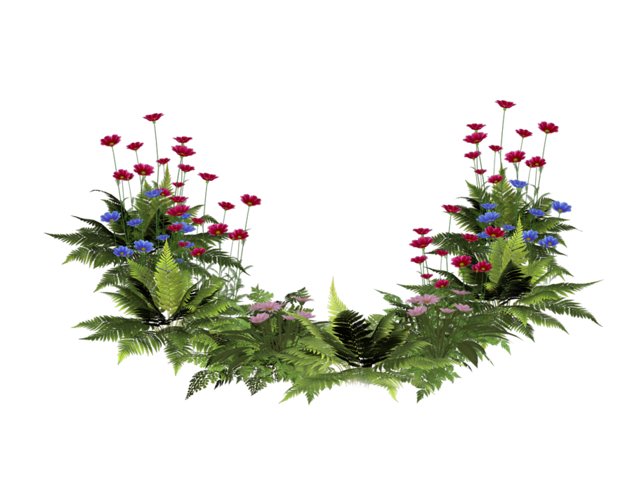 flower plants png transparent - Clip Art Library