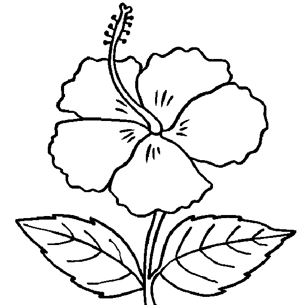Free Flowers Drawing For Kids, Download Free Clip Art 