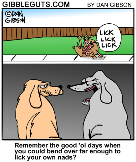 funny dog cartoons