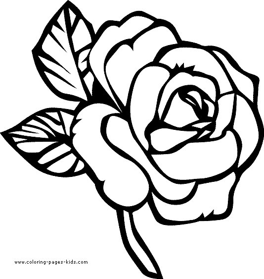Free Flowers Drawing Pages Download Free Clip Art Free Clip Art On Clipart Library Collection of pictures of flower drawings (67) flower drawings for colouring different types of flowers to color clipart library