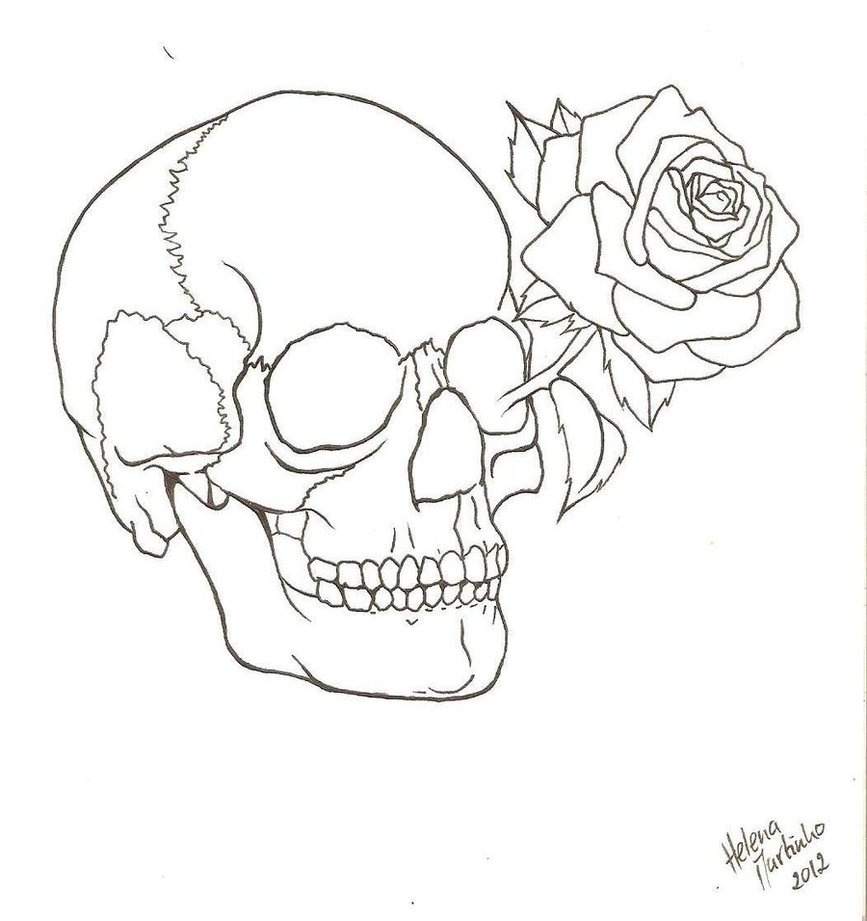 Skull Rose Drawing Outline - Gallery