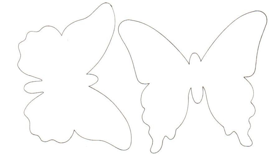 Free Butterfly Template Download Free Clip Art Free Clip Art On Clipart Library Collection of most popular forms in a given sphere. clipart library