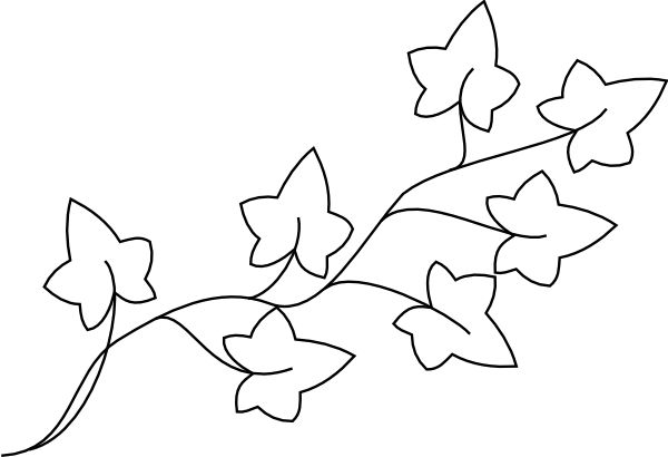 ivy leaf template | Ivy Outline Clip Art Vector Online Royalty 