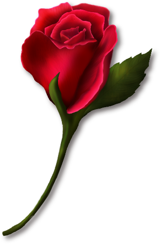 Red Rose Bud Painted Clipart