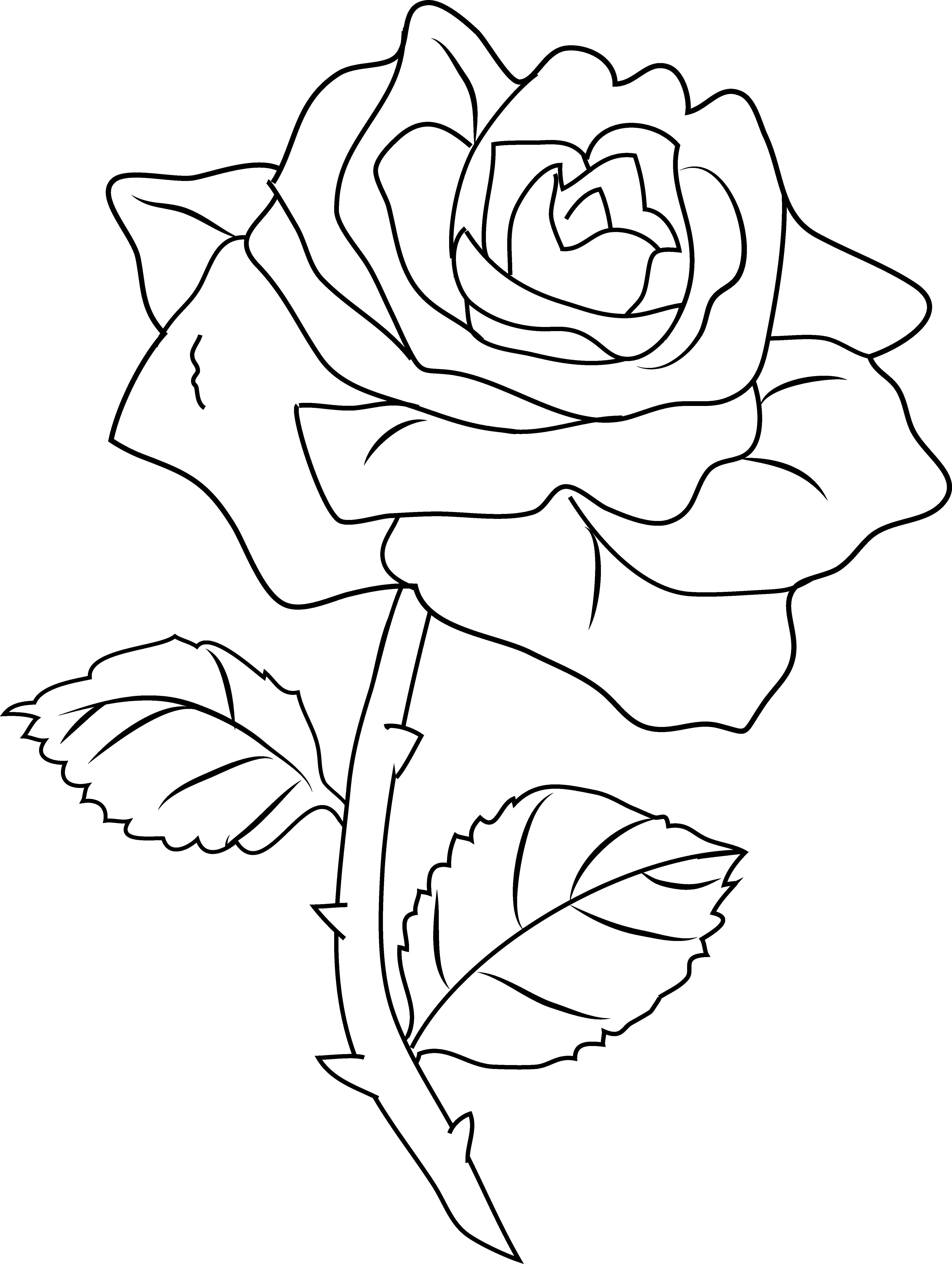 Pretty Rose Coloring Page - Free Clip Art