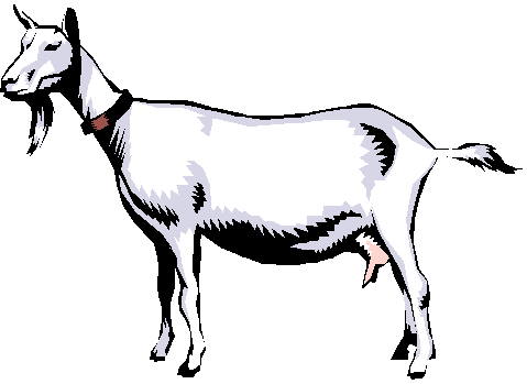 Goat Clip Art Free - Clipart library