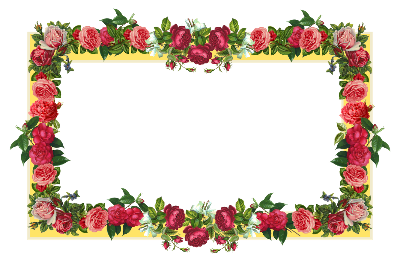 Rose Flower Borders 