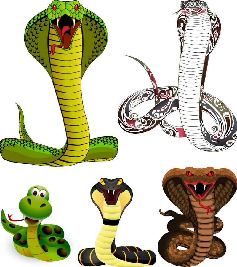 Snake | Vector Graphics Blog